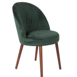 Chair Barbara Green