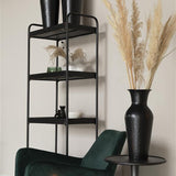 Shelf Ryan