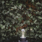 Table Lamp Smarty