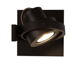 Spot Light Luci-1 Dtw Black
