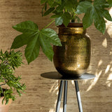 Plant Stand Stalwart Low Set Of 2