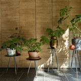 Plant Stand Stalwart High Set Of 2
