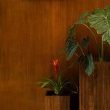 Plant Stand Ribble (Set Of 2)