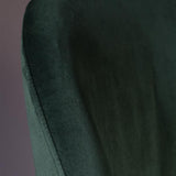Chair Barbara Green