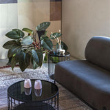Coffee Table Lance M