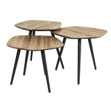 Coffee Table Cuties (Set Of 3)