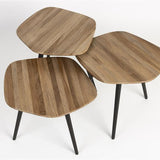 Coffee Table Cuties (Set Of 3)