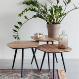 Coffee Table Cuties (Set Of 3)
