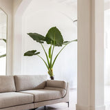 Sofa Balcony 3-Seater Beige