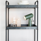 Shelf Ryan