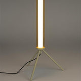 Table Lamp Scotty