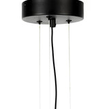 Pendant Lamp Spider