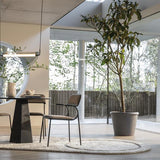 Carpet Spark 160x300