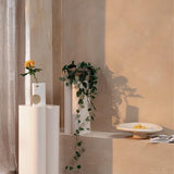 Plant Stand Shape (Set of 2)